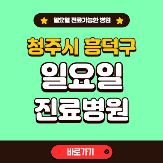 청주시 흥덕구 일요일 진료 가능한 병원 ❘ 주말 문여는 곳 총정리 (소아과, 내과, 안과, 치과, 피부과, 정형외과, 산부인과)