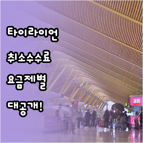 타이라이언에어 취소 수수료 얼마인지 ..
