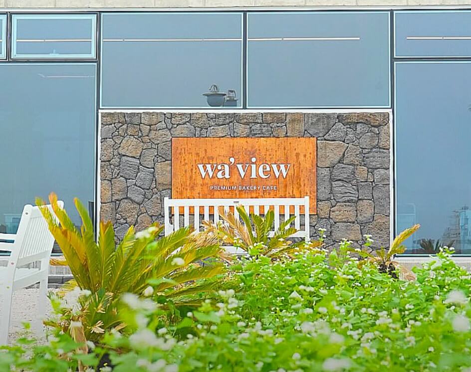 2025 제주도 웨이뷰 메밀꽃밭 축제, 웨이뷰에서 사랑하는 사람들과 행복한 시간을 보내세요!