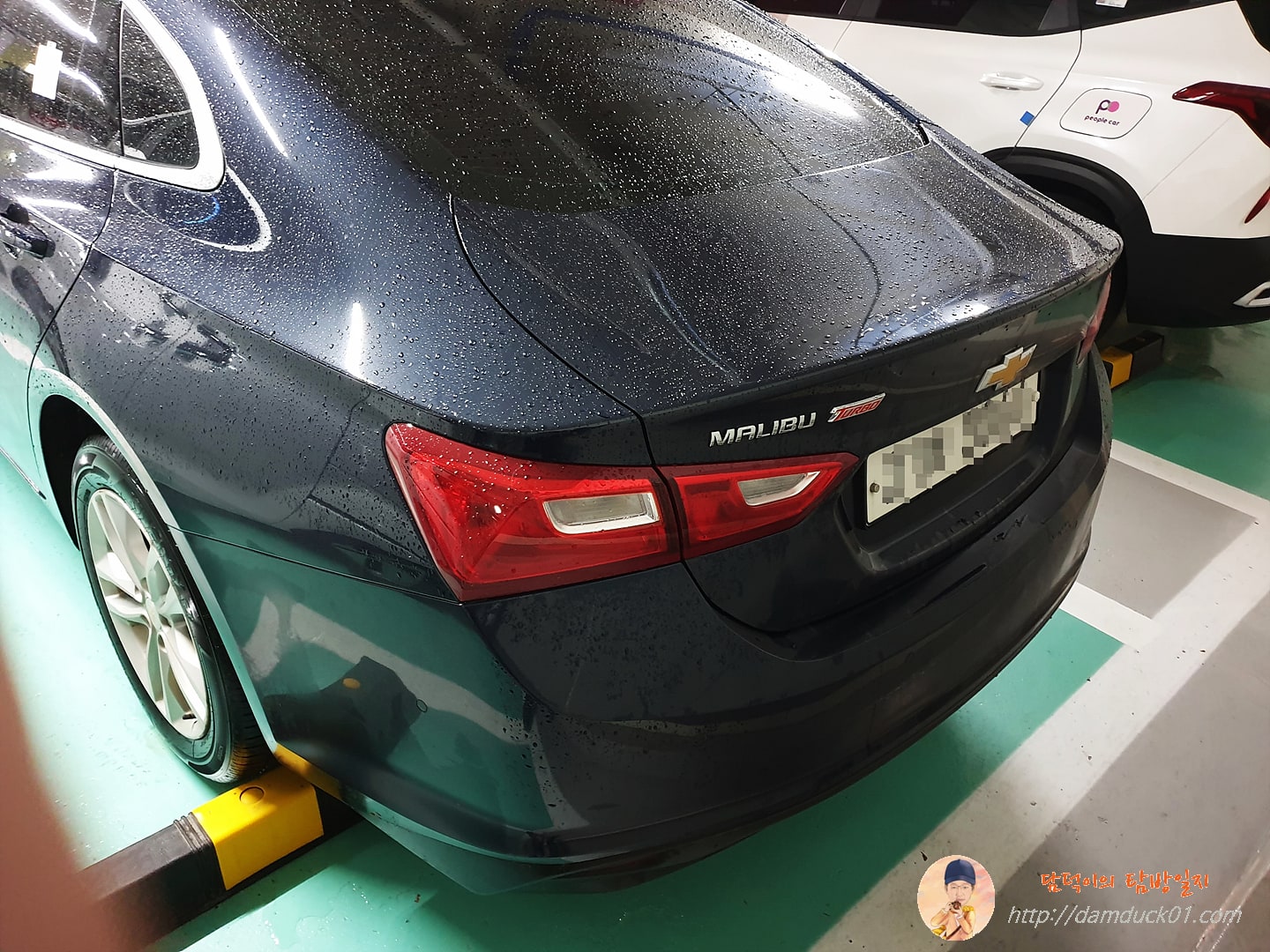 올 뉴 말리부 엉덩이