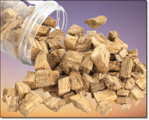 에스트로겐 음식