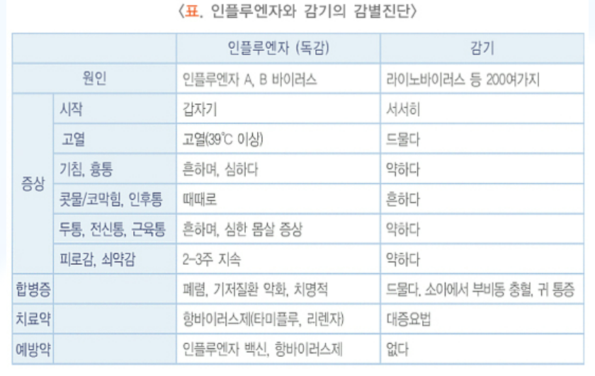 독감증상 예방법 합병증
