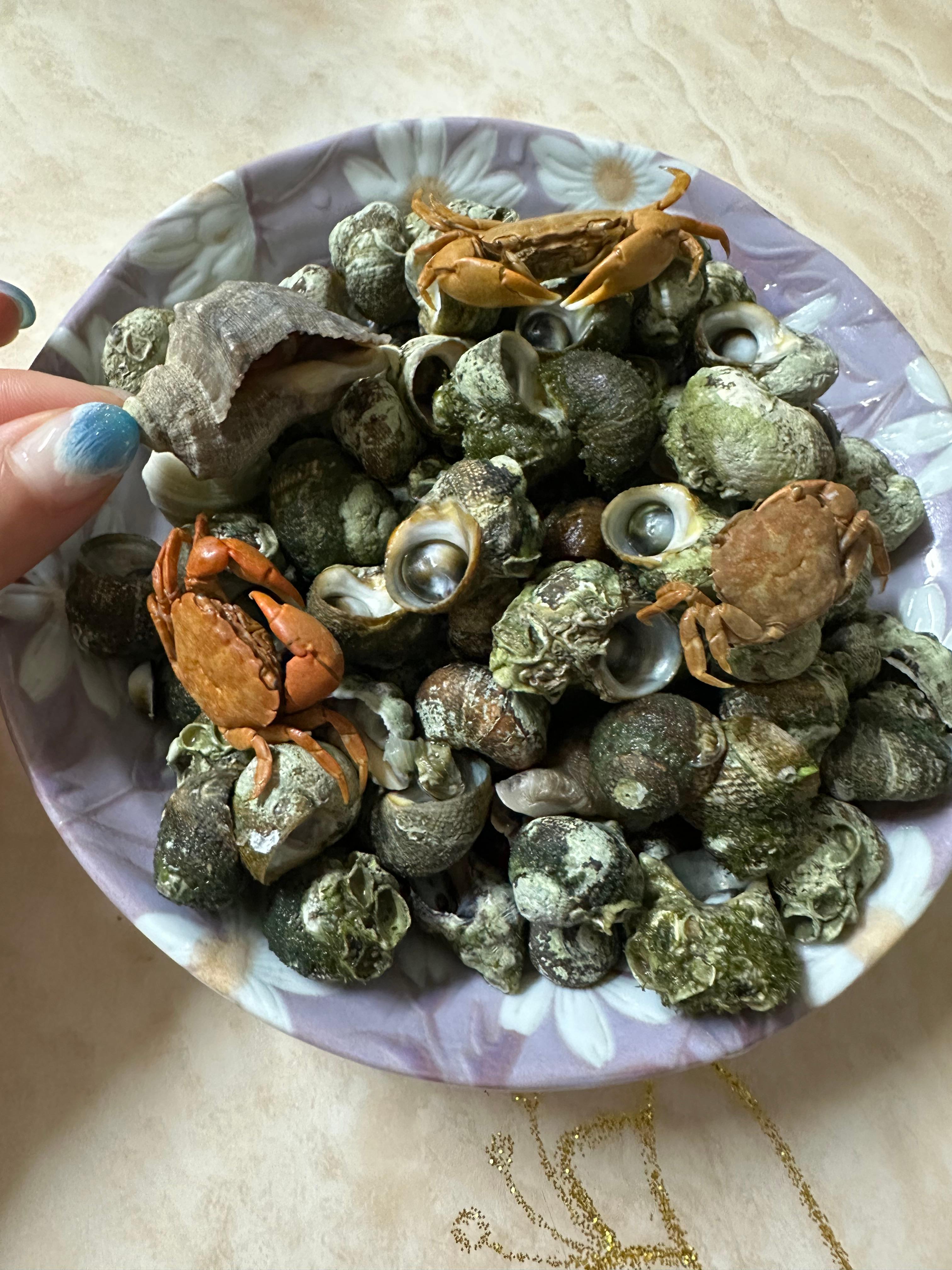 Super Simple Clam Soup Recipe(Healthy clam soup, fresh clams and horn snails, ultra-simple and light, full of rich ocean flavor, mudflat experience in Muchangpo, Boryeong, South Chungcheong, boiling horn snails and small clams, healthy homemade meal, easy soup recipe)