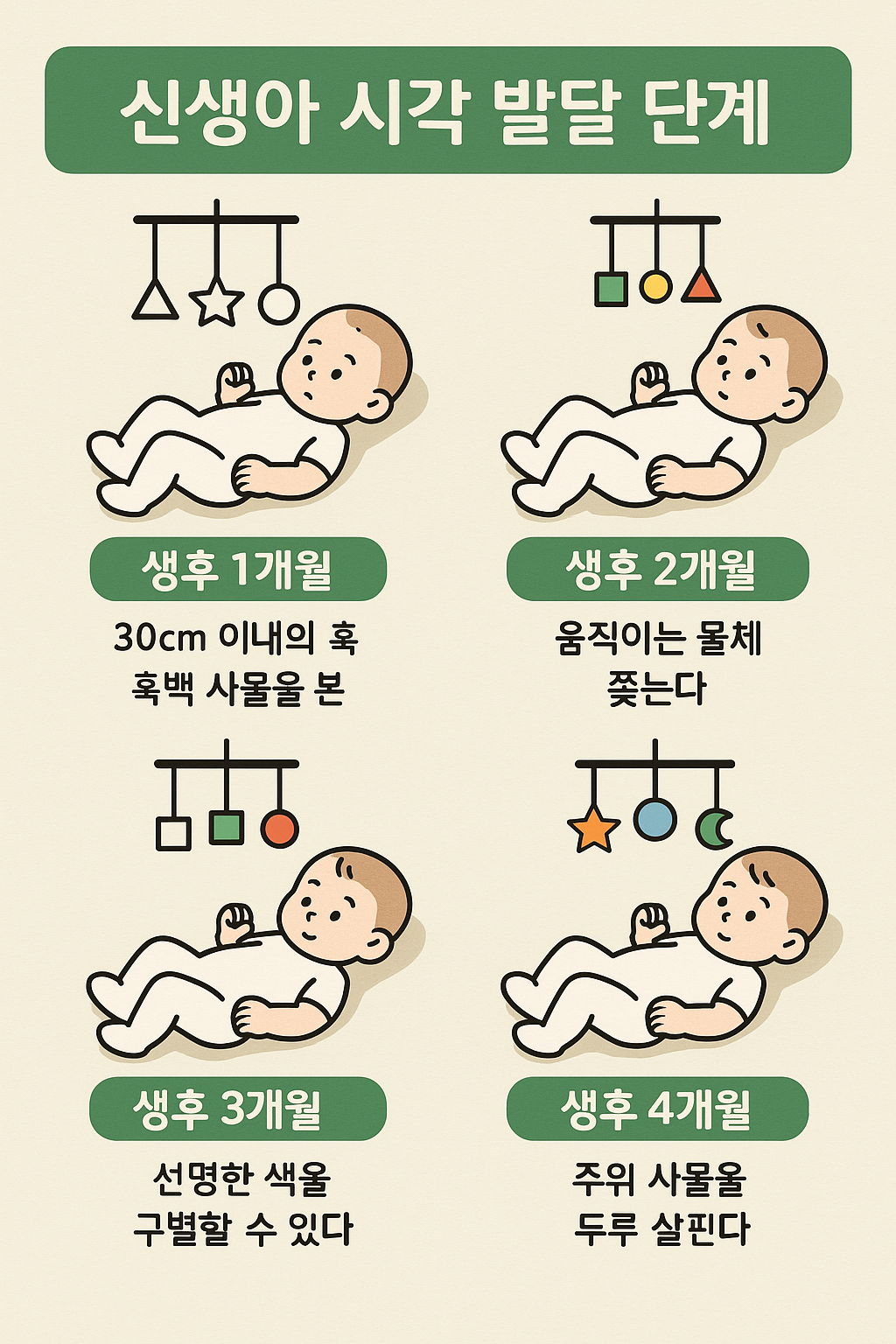신생아 시각 발달 단계