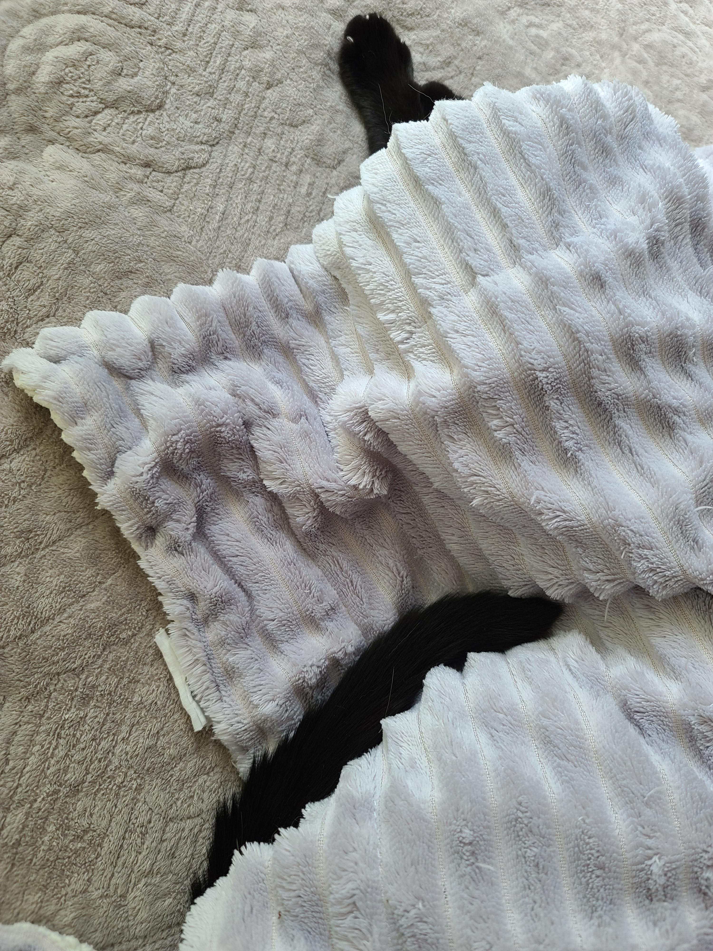 에어컨 바람을 피하고 싶을때 올블랙 건이와 막둥이 삐용이의 선택은...!