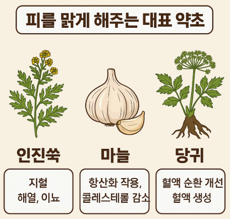 피를 맑게 해주는 대표 약초