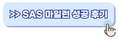 sas런 성공