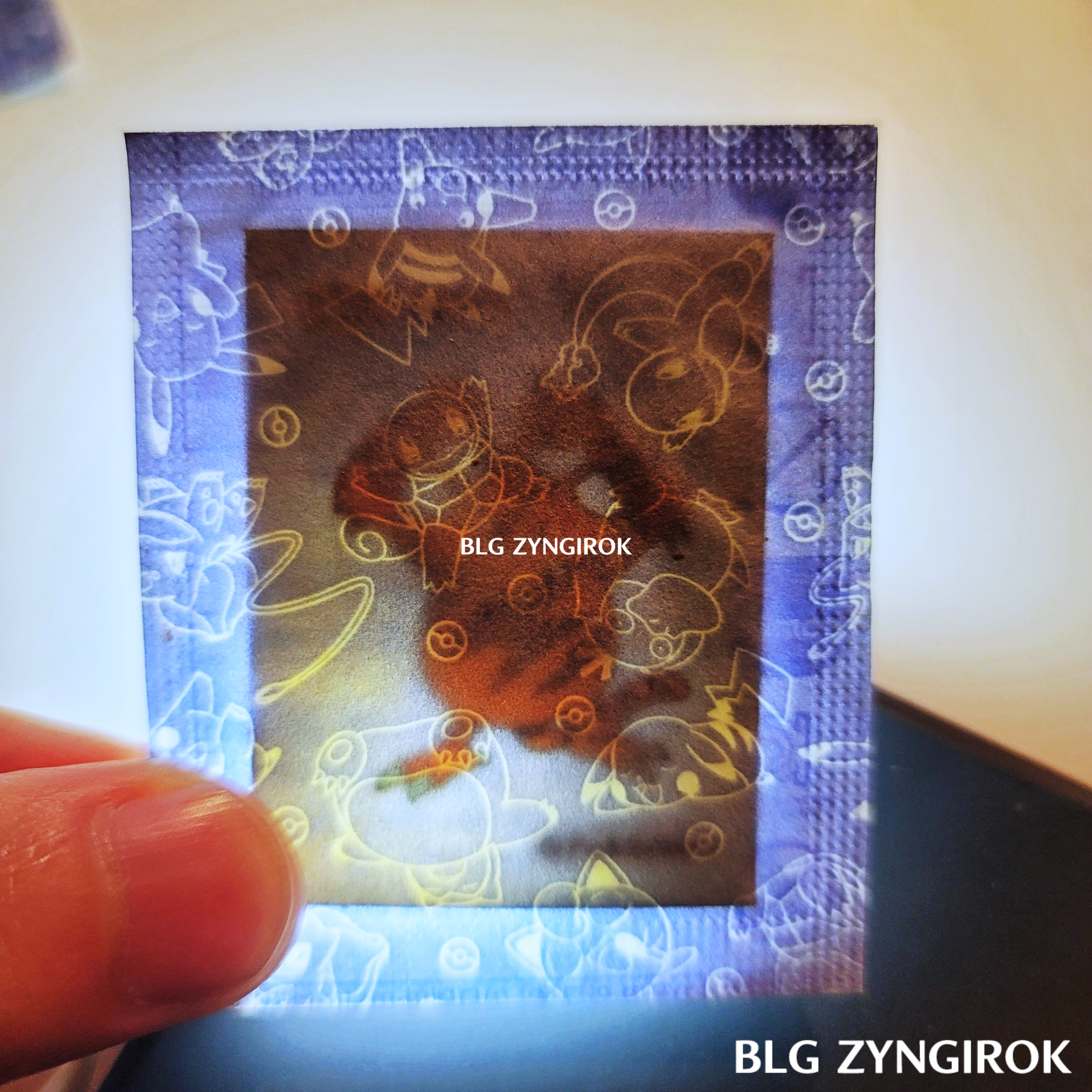 띠부띠부씰-에레브를-들고있다.