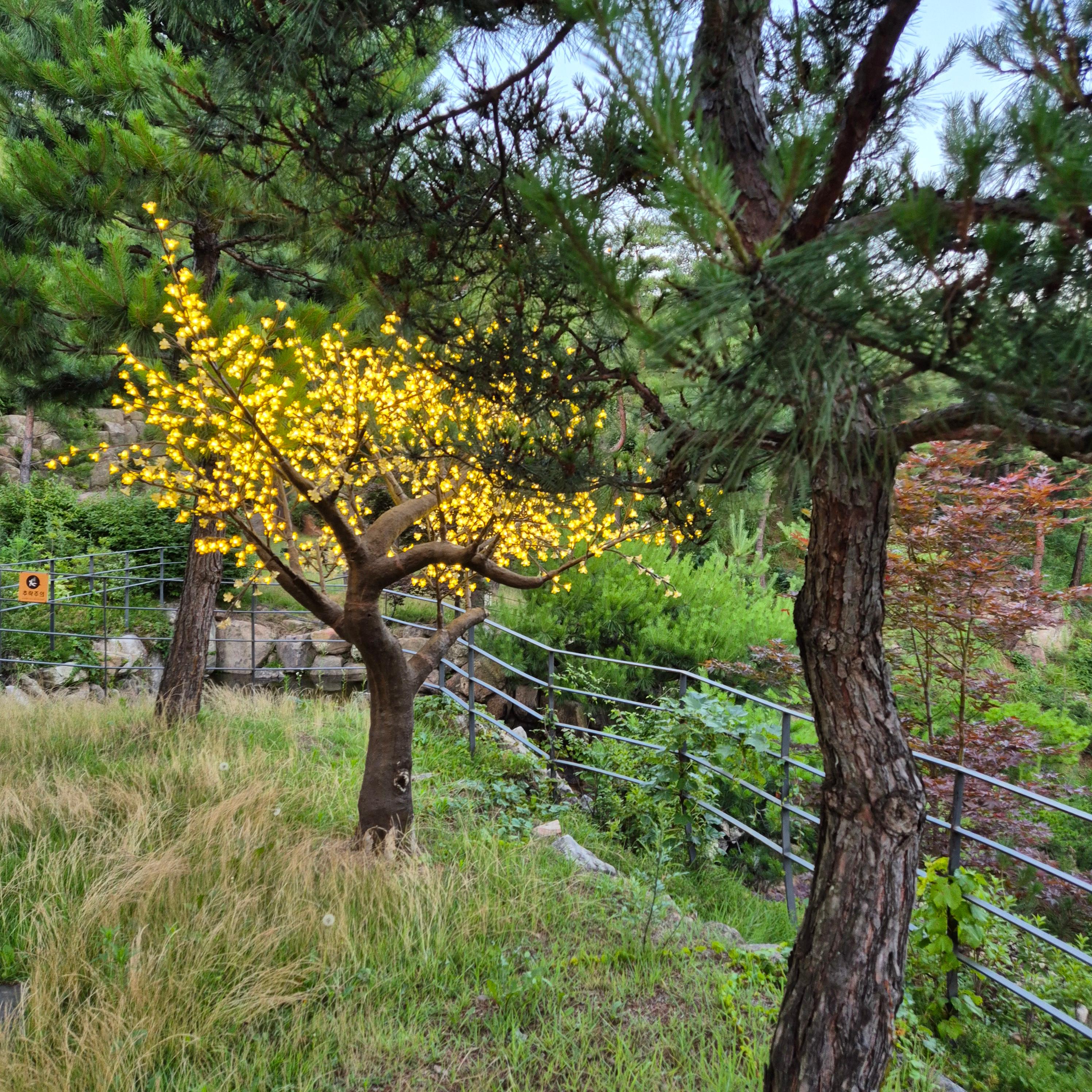 제천경찰수련원&amp;#44; 제천 경찰수련원 어메니티&amp;#44; 제천 경찰수련원 샴푸&amp;#44; 제천 경찰수련원 식당&amp;#44; 봄의향기&amp;#44; 블루포트&amp;#44; 제천경찰수련원 콘도형&amp;#44; 제천경찰수련원 물놀이
