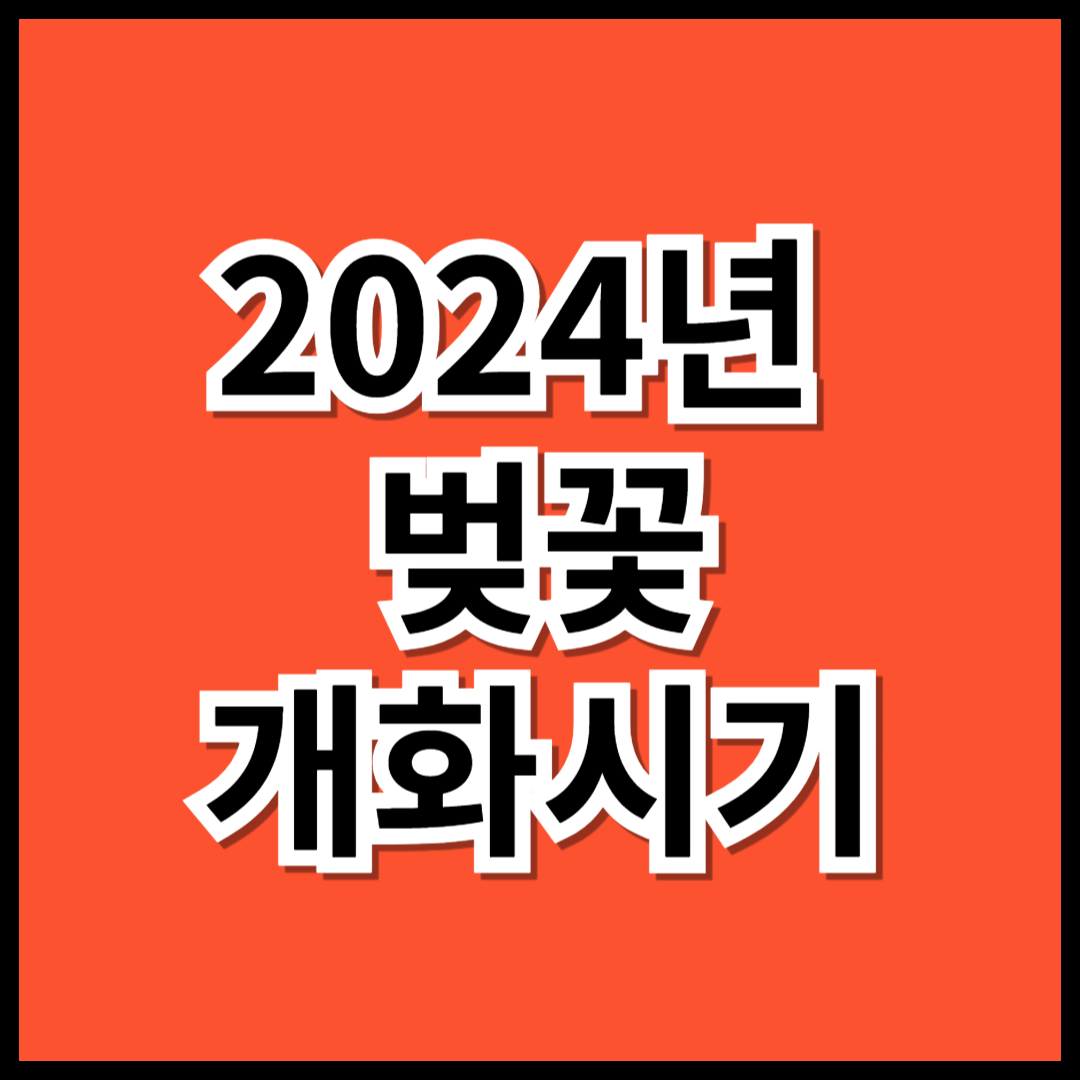 2024년 벚꽃개화시기