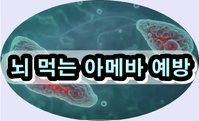 뇌 먹는 아메바 증상, 뇌 먹는 아메바 예방, 뇌 먹는 아메바 치료법, 네글레리아 파울러리, 원발성 아메바성 뇌수막염, 여름철 물놀이 감염 주의, 코 세척 안전 수칙, 따뜻한 민물 아메바 위험, 치명률 높은 감염병, 뇌수막염 예방 방법
