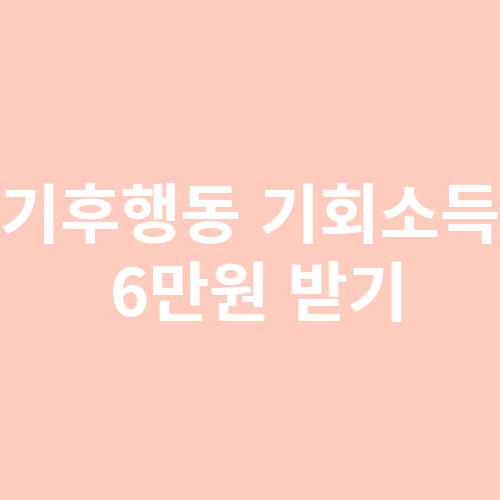 기후행동 기회소득