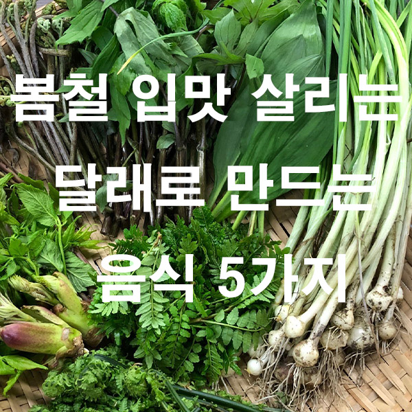 봄철 입맛 살리는 달래로 만드는 음식 5가지