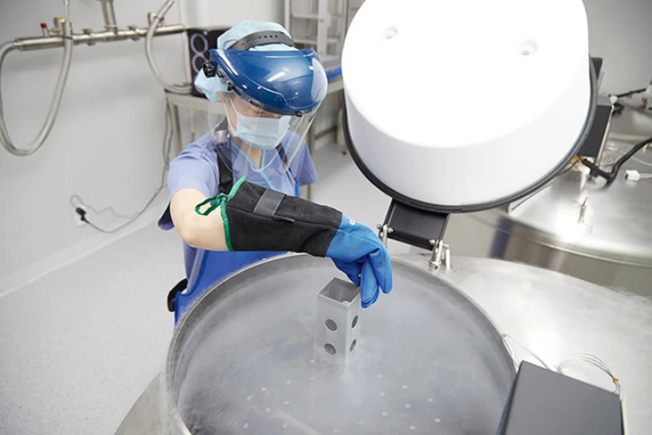 난자-냉동-보관