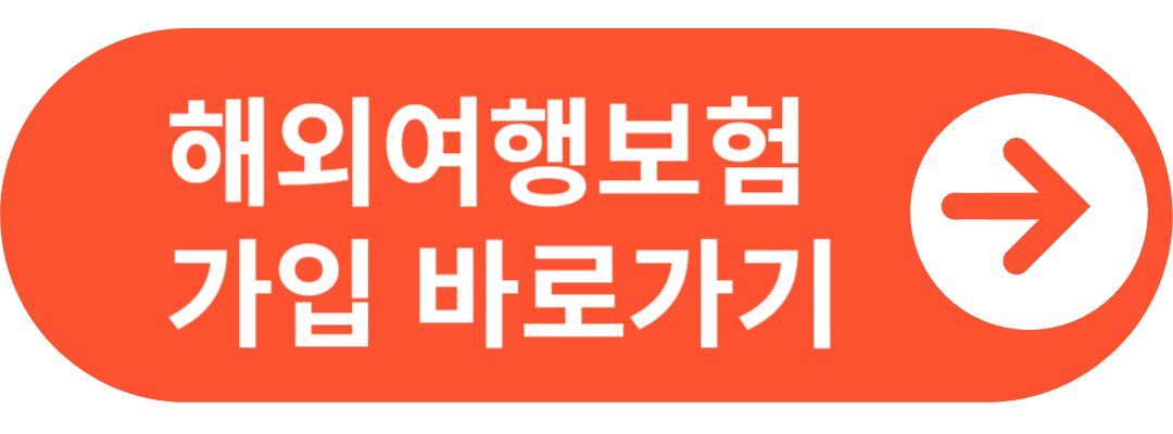 여행자보험 인터넷가입