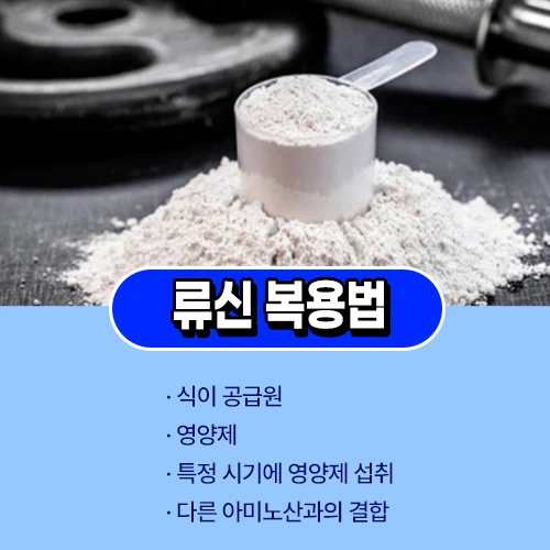 류신 단백질