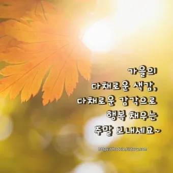 가을 인사말 문구 모음 정리_19