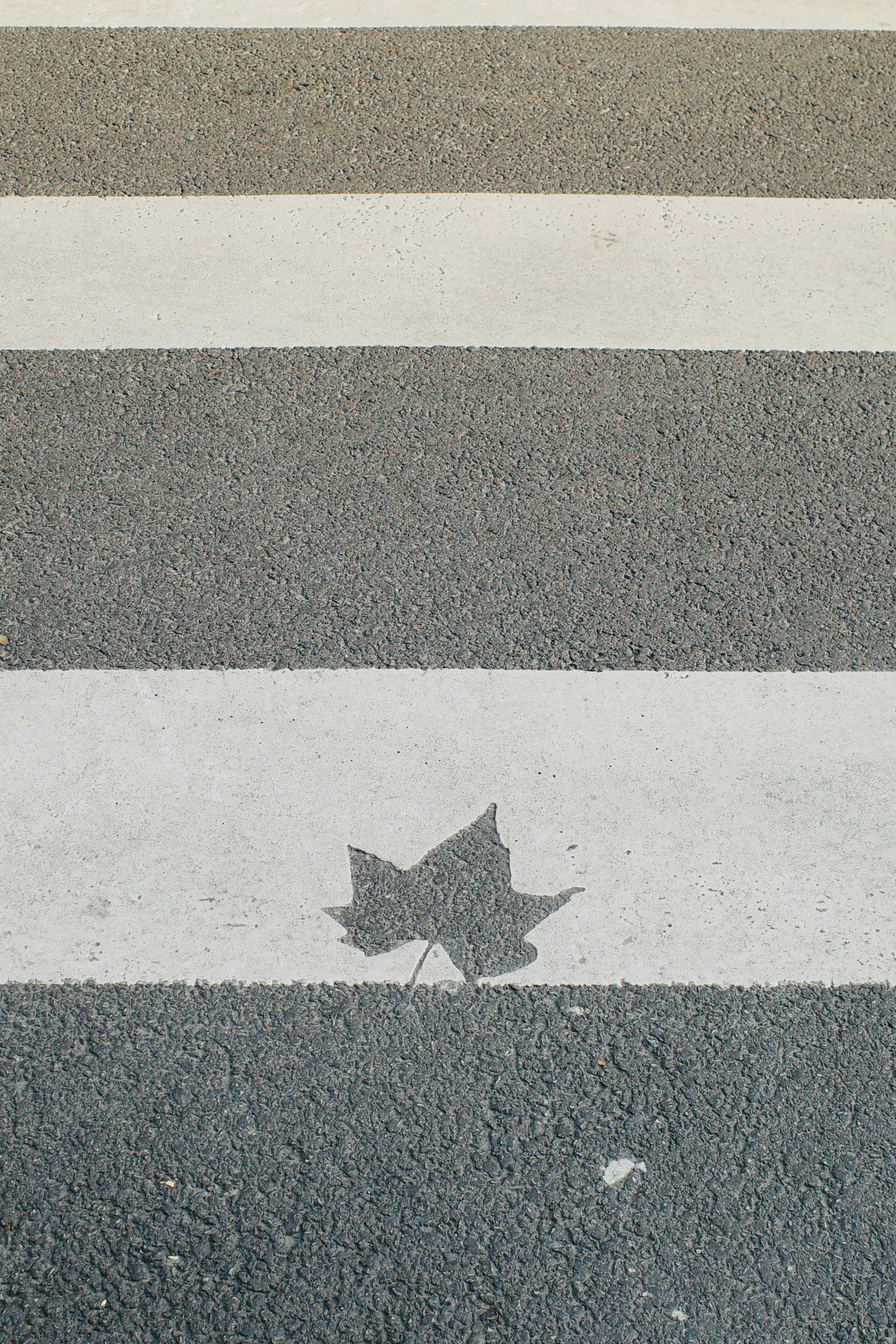 평등한 출발선 관련사진