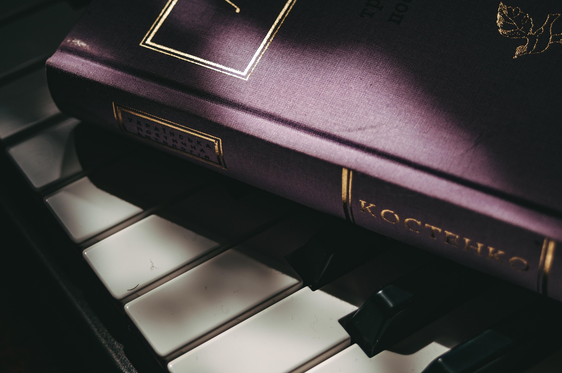 성인 소설 추천