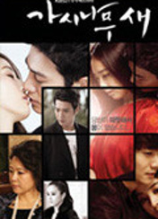 드라마 가시나무새