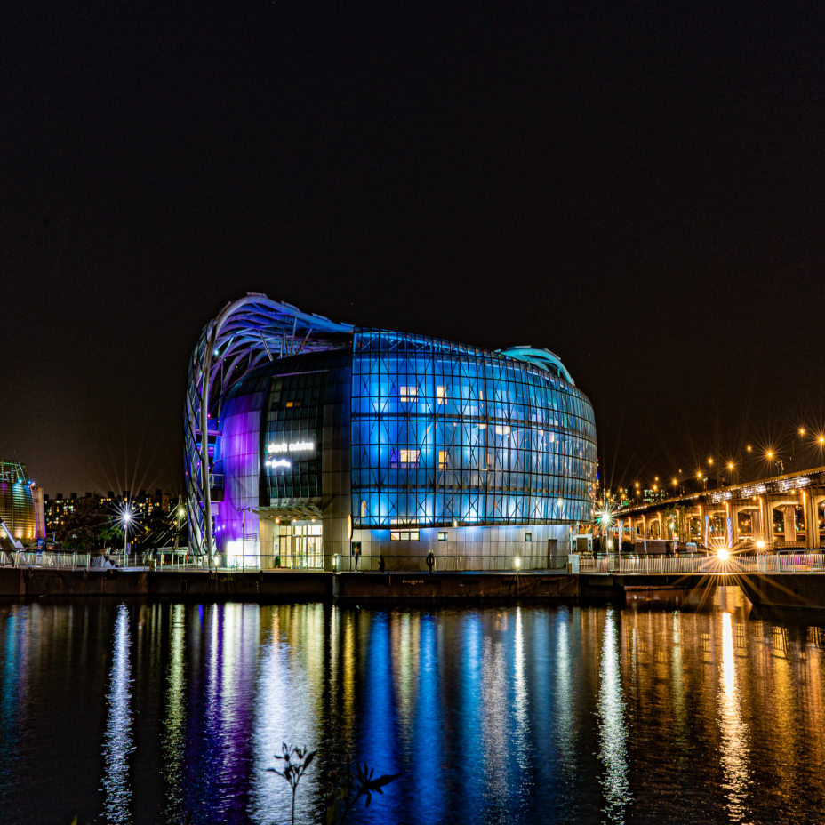 아이랑 한강 나들이