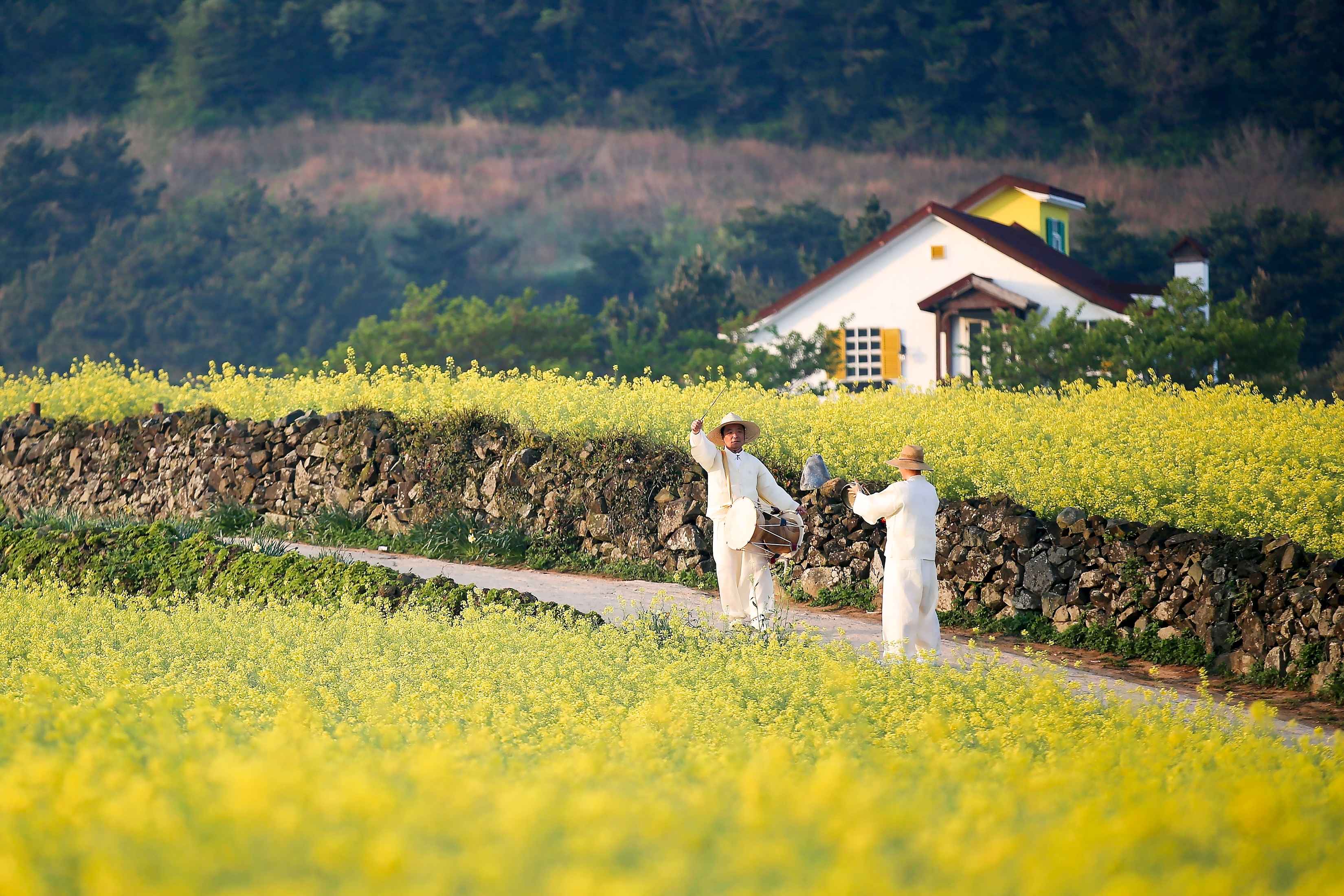 청산도, 느림의 미학을 걷는 봄날의 여행