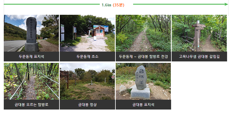 태백산초보자코스