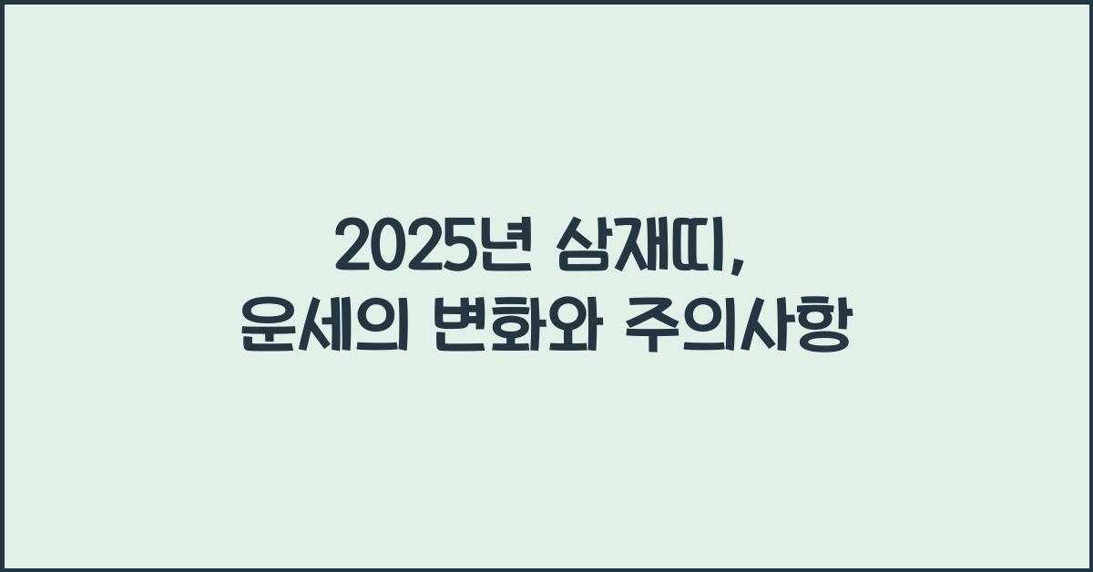2025년 삼재띠