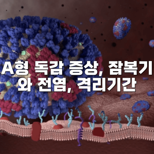 a형 독감 증상&#44; 잠복기와 전염&#44; 격리기간&#44; 후유증