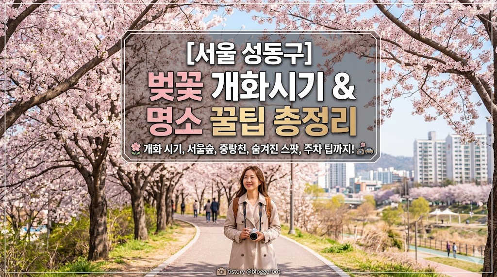 성동구 벚꽃 명소