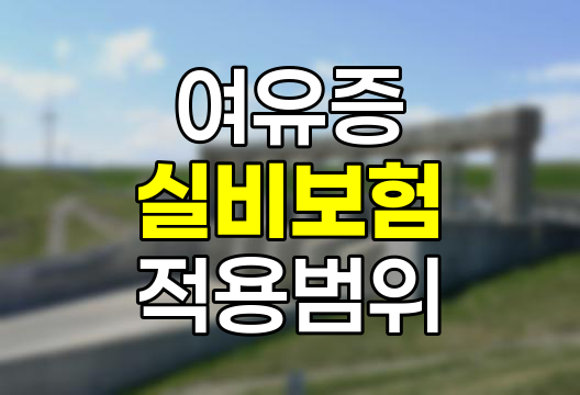 여유증 실비보험 적용 범위와 고려사항