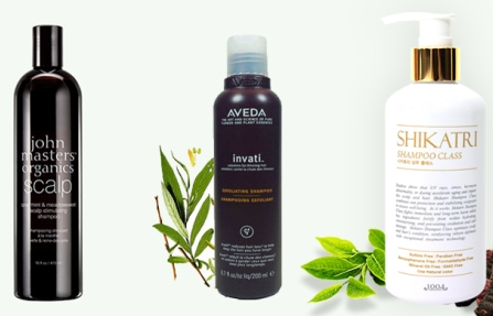 탈모 샴푸 만들기 재료 샴푸 이미지