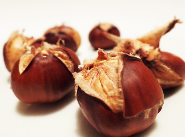 율피의주요성분및효능