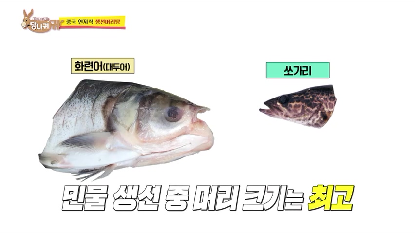 사장님귀는 당나귀귀 정지선 쉐프 중식당 생선머리탕 왕번데기 볶음 대림시장 차이나타운 맛집 위치 오늘방송 정보