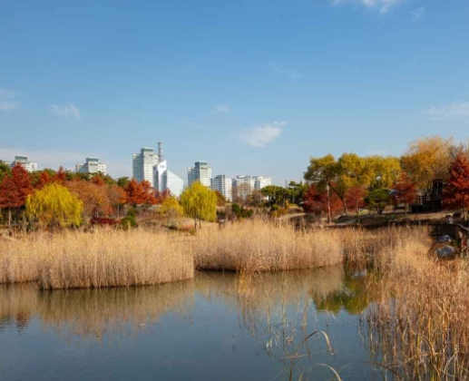 대전 가볼만한곳 베스트10