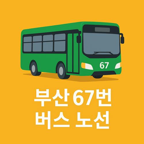 부산 67번 버스 노선 섬네일