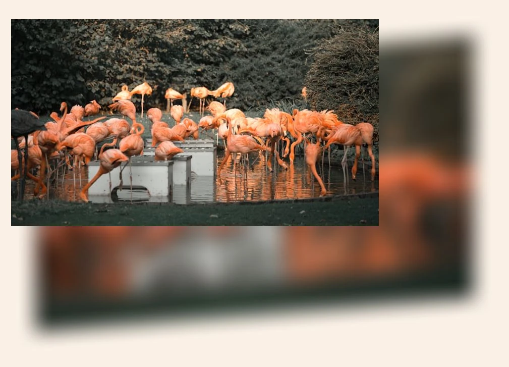 실내 동물원 체험_2_subsection