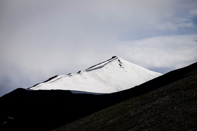 좋은사람들 예약홈페이지