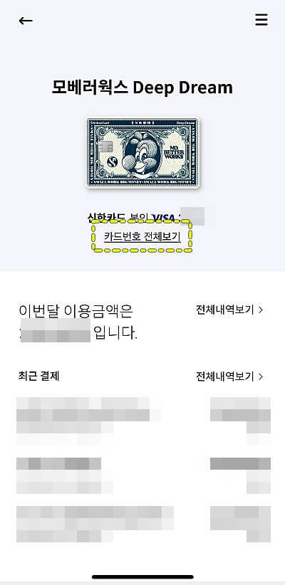 신한카드-카드번호-확인