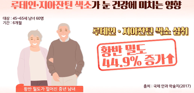 루테인&#44; 지아잔틴 효능
