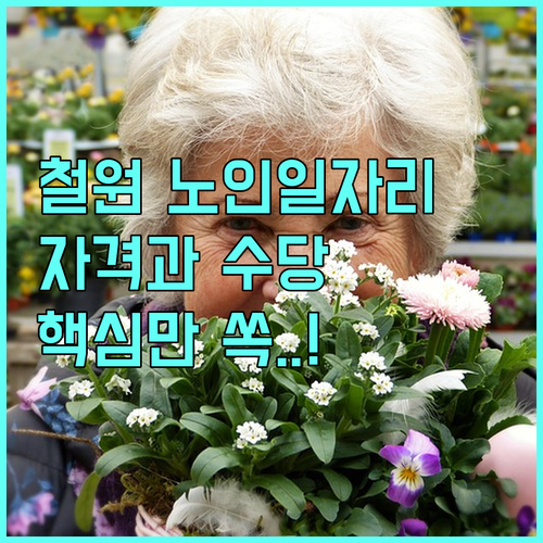 철원군 노인일자리 사업 유형별 자격 ..