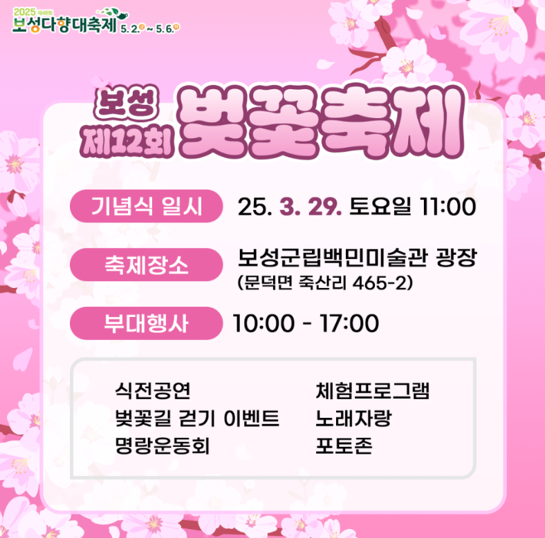 보성 벚꽃축제