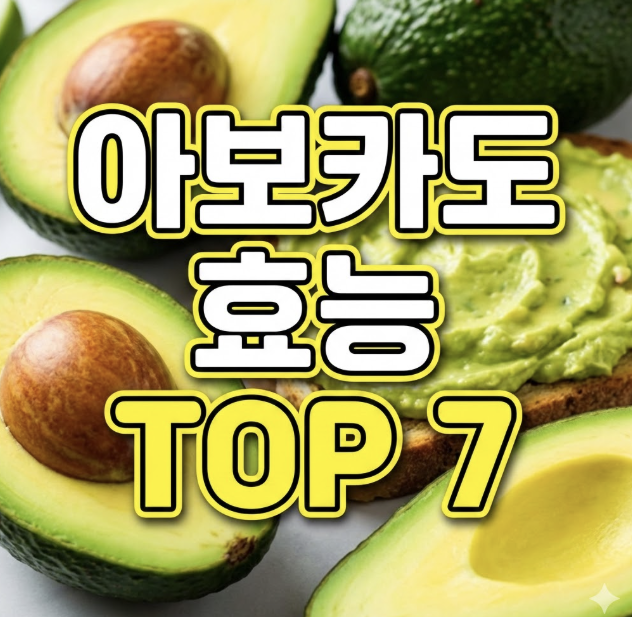 아보카도 효능