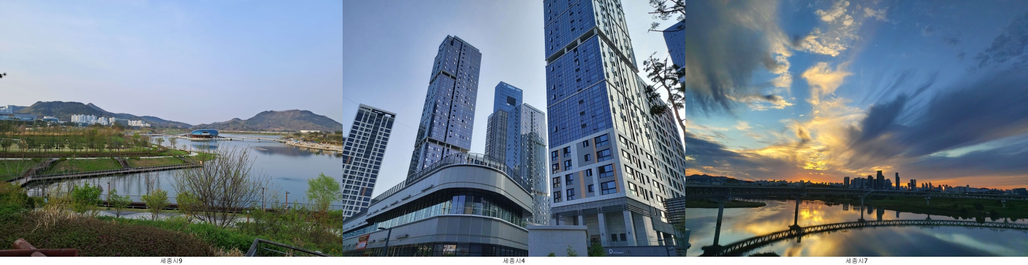 세종시 이미지