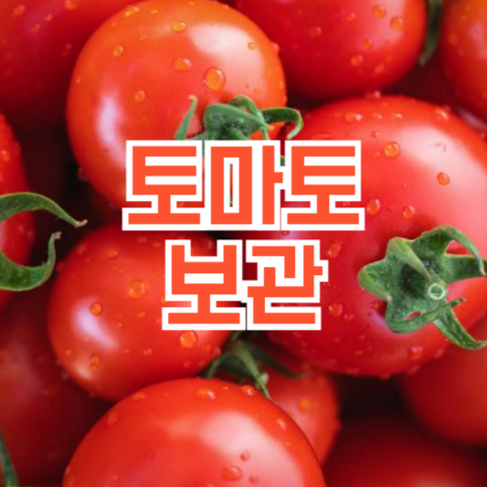 토마토 보관, 신선하게 오랫동안 유지하는 방법!