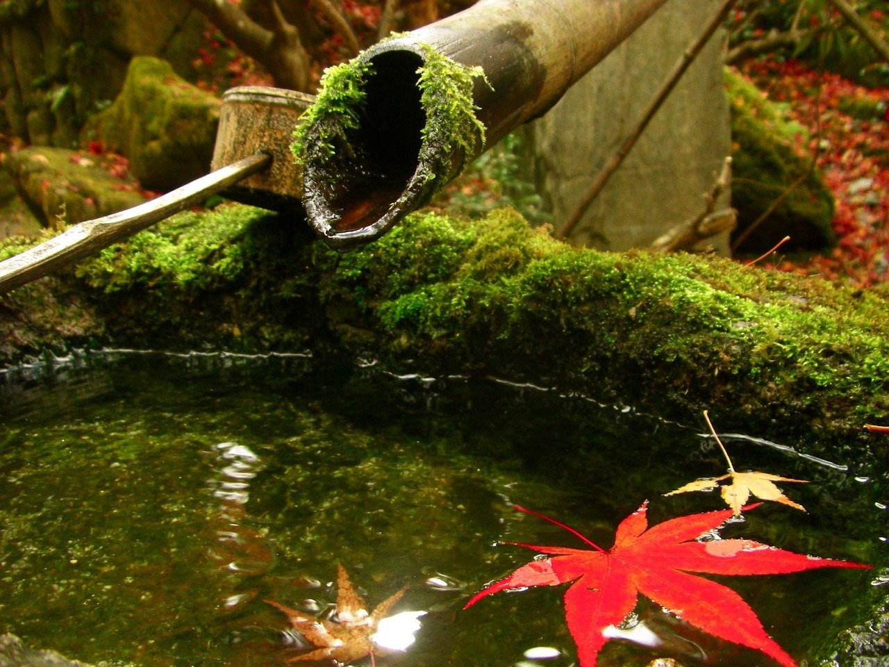 일본 풍경 사진