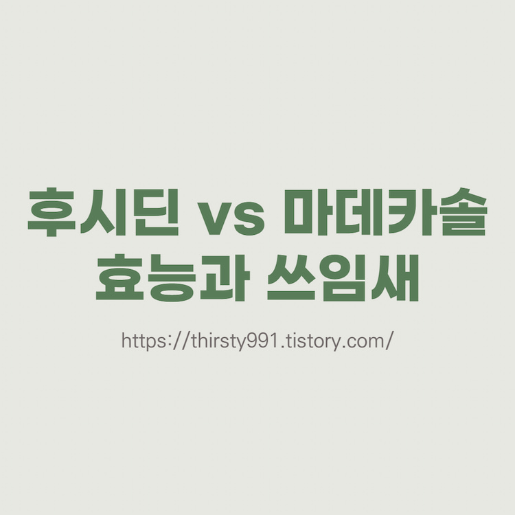 썸네일