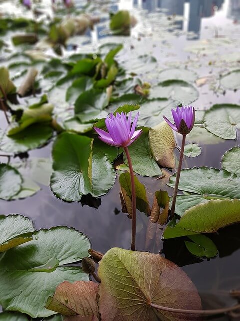 싱가포르 7월 여행 가이드|날씨·옷차림·축제·여행팁 총정리!
