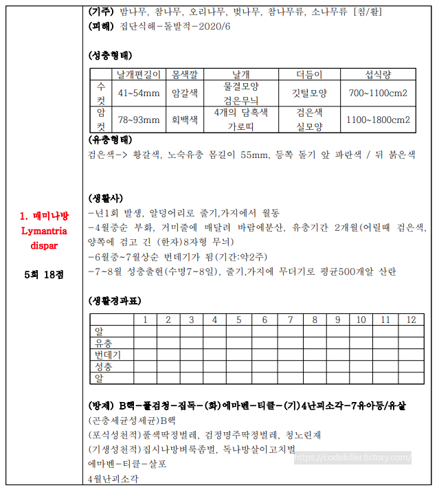 매미나방