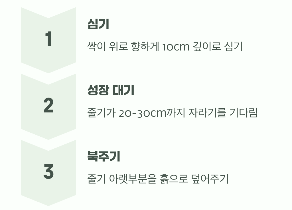 땅속 보물을 키우는 핵심 기술, 북주기